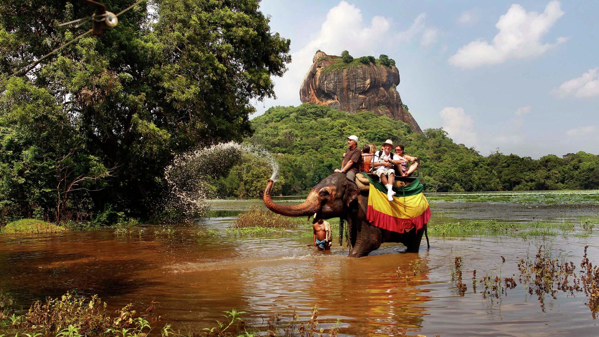 فیل سواری در سفر خارجی به سریلانکا